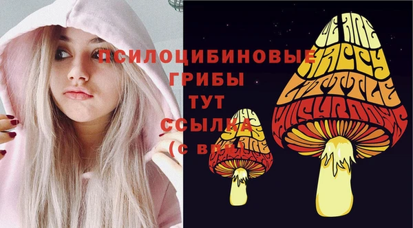 первитин Балахна