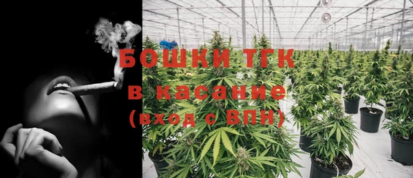 прущие грибы Армянск