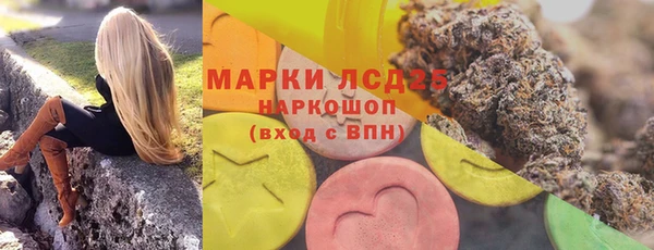 PSILOCYBIN Баксан