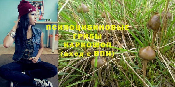 PSILOCYBIN Баксан