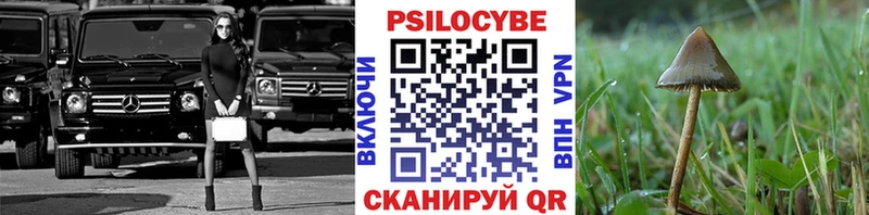 Галлюциногенные грибы Cubensis  купить наркотики цена  Верхняя Пышма 